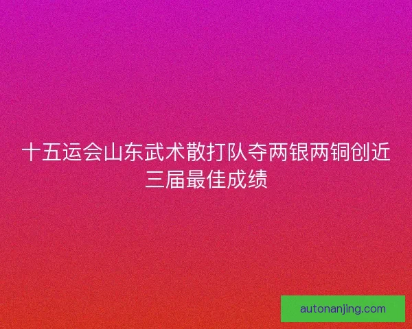 十五运会山东武术散打队夺两银两铜创近三届最佳成绩